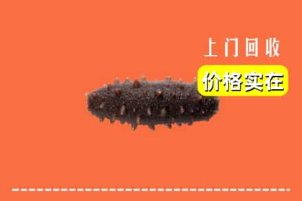成都青白江区回收海参