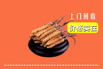 成都青白江区回收冬虫夏草
